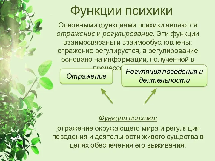 Функции психики Основными функциями психики являются отражение и регулирование. Эти