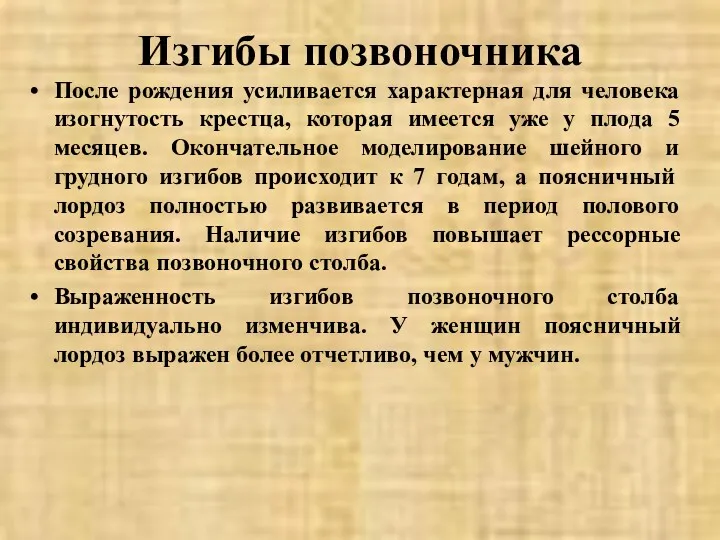 Изгибы позвоночника После рождения усиливается характерная для человека изогнутость крестца,