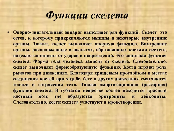 Функции скелета Опорно-двигательный аппарат выполняет ряд функций. Скелет это остов,