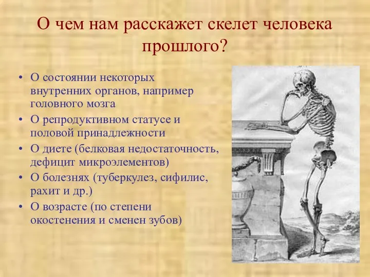 О чем нам расскажет скелет человека прошлого? О состоянии некоторых