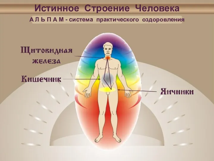 Истинное Строение Человека А Л Ь П А М - система практического оздоровления