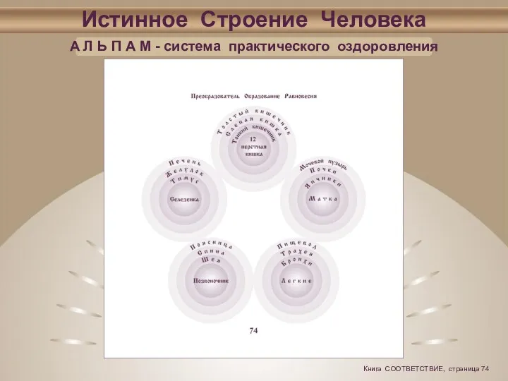 Истинное Строение Человека А Л Ь П А М -