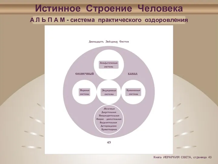 Истинное Строение Человека А Л Ь П А М - система практического оздоровления