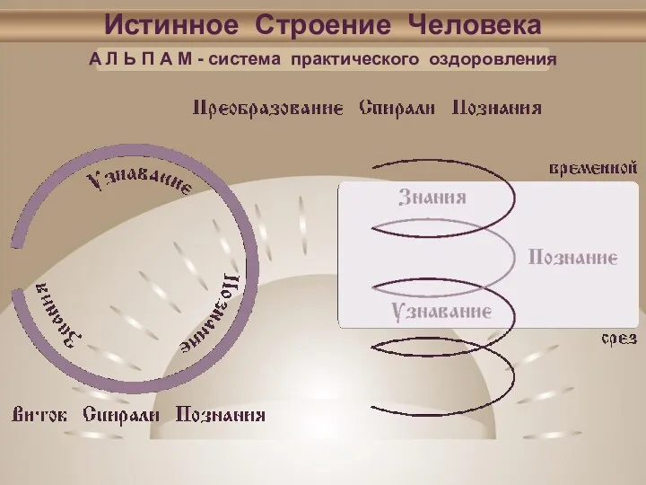 Истинное Строение Человека А Л Ь П А М - система практического оздоровления