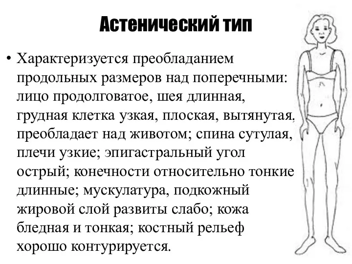 Астенический тип Характеризуется преобладанием продольных размеров над поперечными: лицо продолговатое,