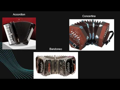 Accordion Concertina Bandoneon