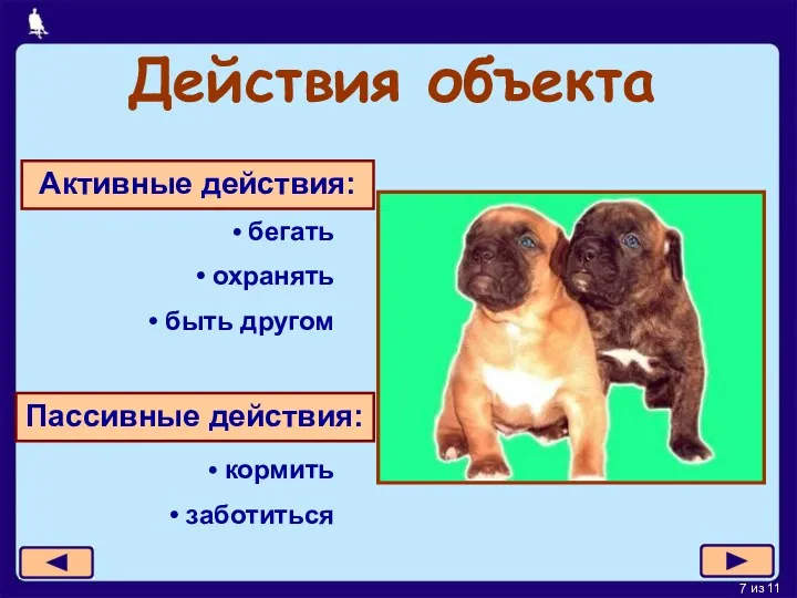 Действия объекта Активные действия: бегать охранять быть другом Пассивные действия: кормить заботиться
