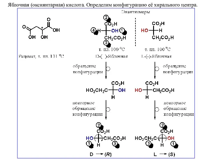 Яблочная (оксиянтарная) кислота. Определим конфигурацию её хирального центра.