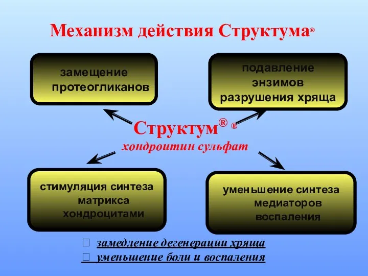 Механизм действия Структума® Структум® ® хондроитин сульфат замещение протеогликанов подавление