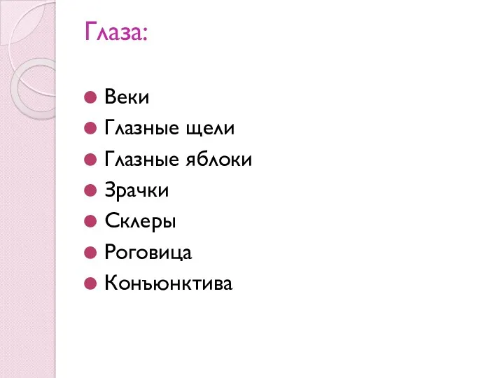 Глаза: Веки Глазные щели Глазные яблоки Зрачки Склеры Роговица Конъюнктива