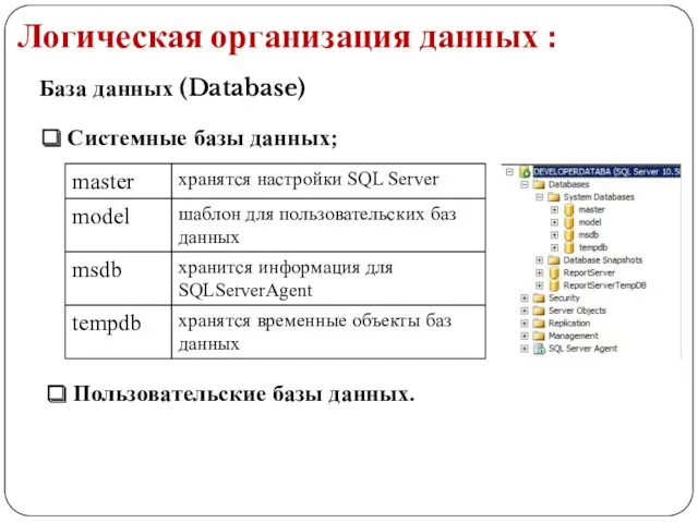 Логическая организация данных : База данных (Database) Системные базы данных; Пользовательские базы данных.