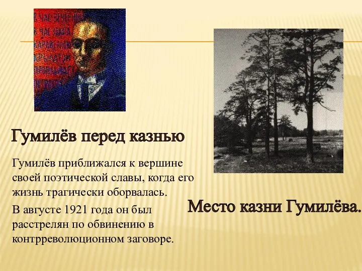 Гумилёв приближался к вершине своей поэтической славы, когда его жизнь