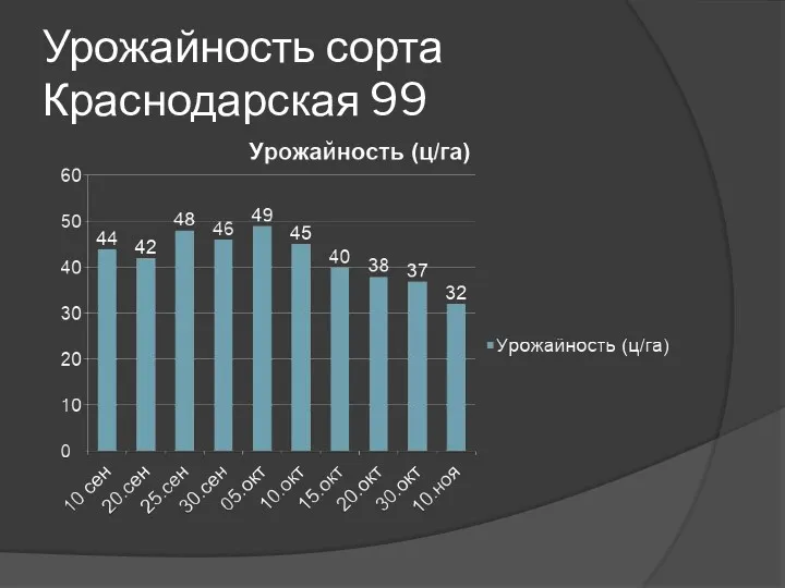 Урожайность сорта Краснодарская 99