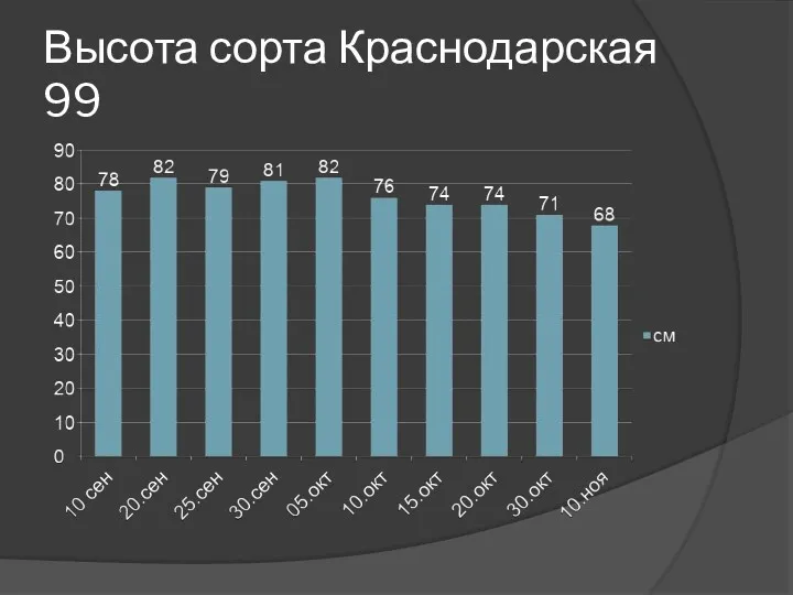 Высота сорта Краснодарская 99