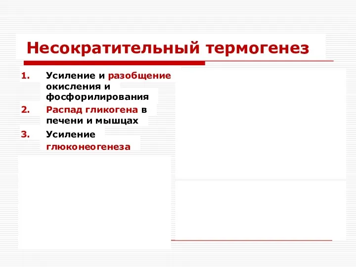 Несократительный термогенез Усиление и разобщение окисления и фосфорилирования Распад гликогена в печени и мышцах Усиление глюконеогенеза