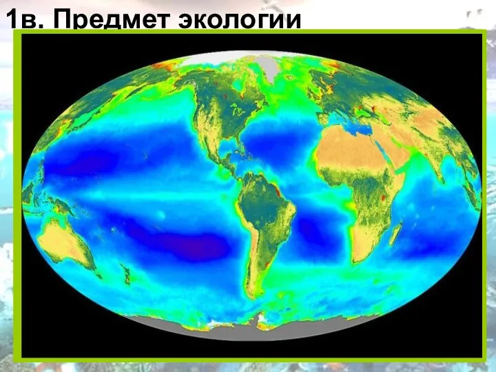 1в. Предмет экологии