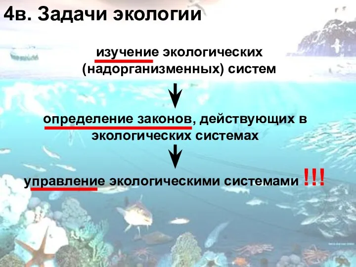 4в. Задачи экологии определение законов, действующих в экологических системах изучение