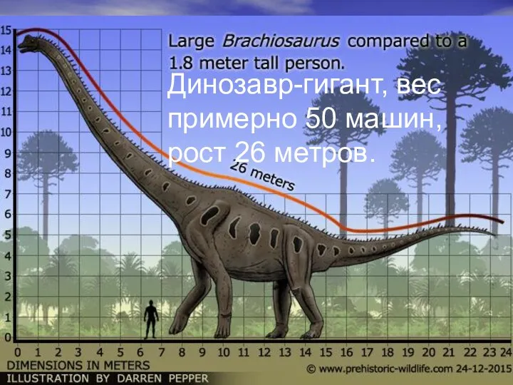 Динозавр-гигант, вес примерно 50 машин, рост 26 метров.