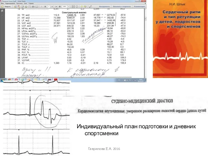 Индивидуальный план подготовки и дневник спортсменки Гаврилова Е.А. 2016