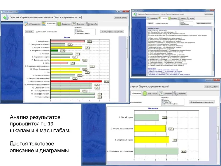 Анализ результатов проводится по 19 шкалам и 4 масштабам. Дается текстовое описание и диаграммы