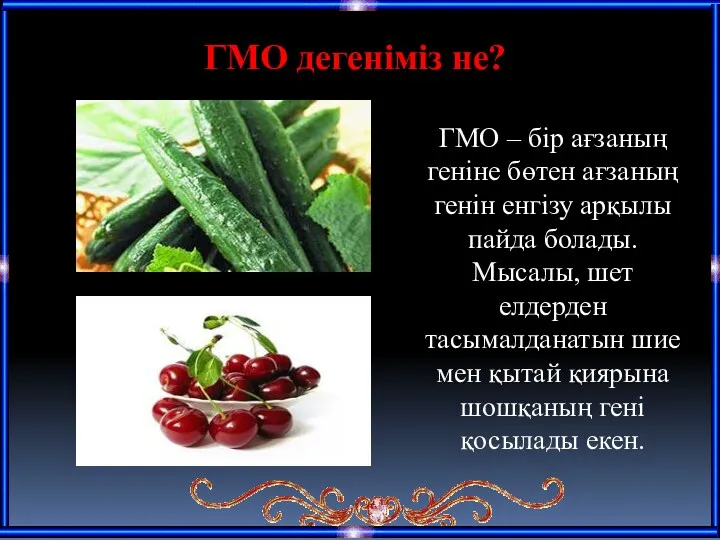 ГМО дегеніміз не? ГМО – бір ағзаның геніне бөтен ағзаның генін енгізу арқылы