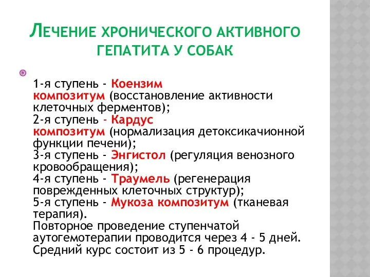 ЛЕЧЕНИЕ ХРОНИЧЕСКОГО АКТИВНОГО ГЕПАТИТА У СОБАК 1-я ступень - Коензим