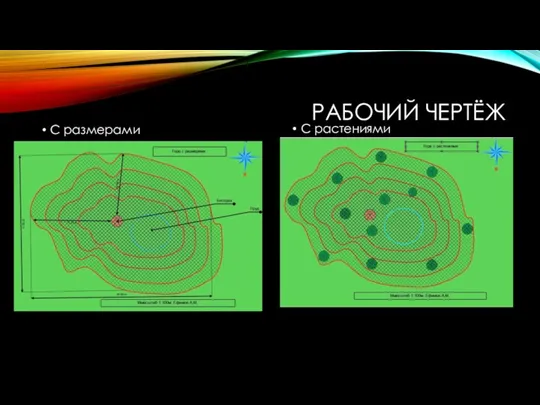 РАБОЧИЙ ЧЕРТЁЖ С размерами С растениями