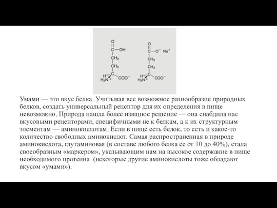 Умами — это вкус белка. Учитывая все возможное разнообразие природных