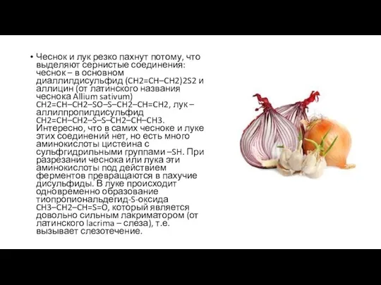 Чеснок и лук резко пахнут потому, что выделяют сернистые соединения: