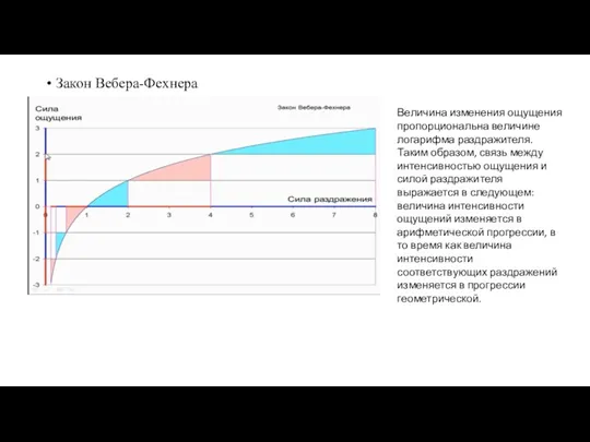 Закон Вебера-Фехнера Величина изменения ощущения пропорциональна величине логарифма раздражителя. Таким