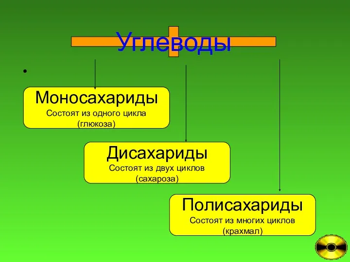 Моносахариды Состоят из одного цикла (глюкоза) Дисахариды Состоят из двух