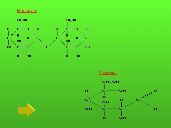 Мальтоза. Глюкоза.