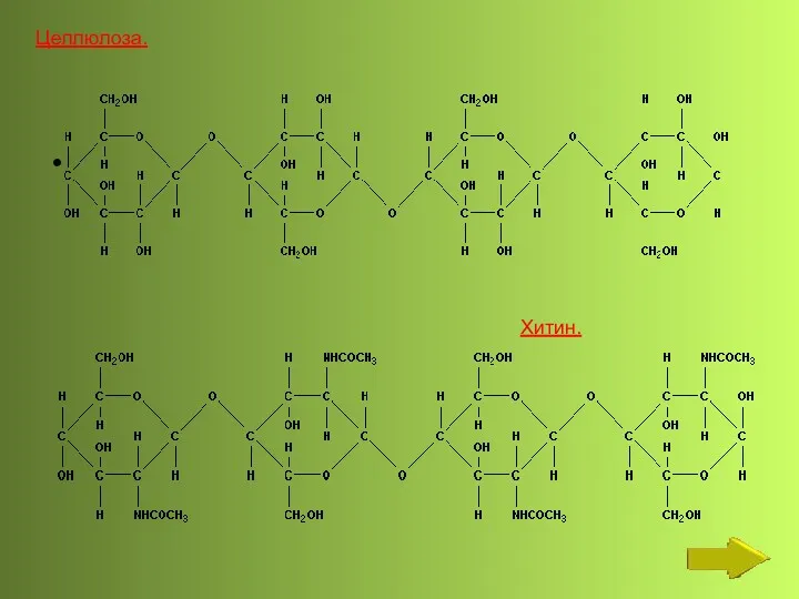 Целлюлоза. Хитин.