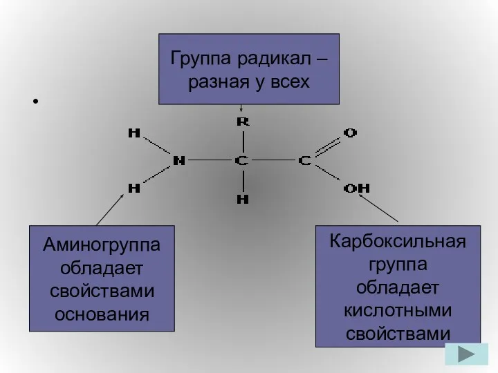 Аминогруппа обладает свойствами основания Группа радикал – разная у всех Карбоксильная группа обладает кислотными свойствами