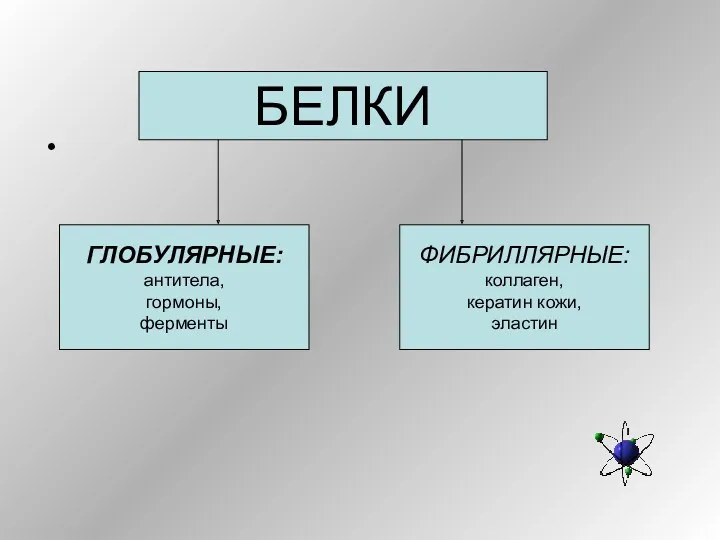 БЕЛКИ ГЛОБУЛЯРНЫЕ: антитела, гормоны, ферменты ФИБРИЛЛЯРНЫЕ: коллаген, кератин кожи, эластин