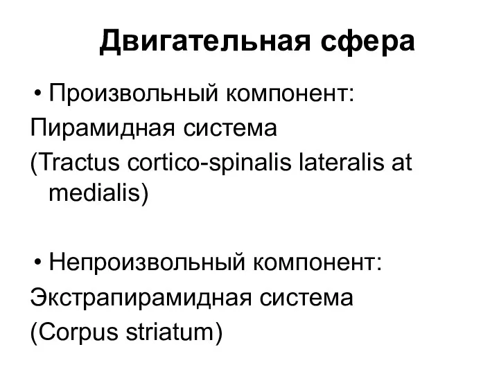 Двигательная сфера Произвольный компонент: Пирамидная система (Tractus cortico-spinalis lateralis at