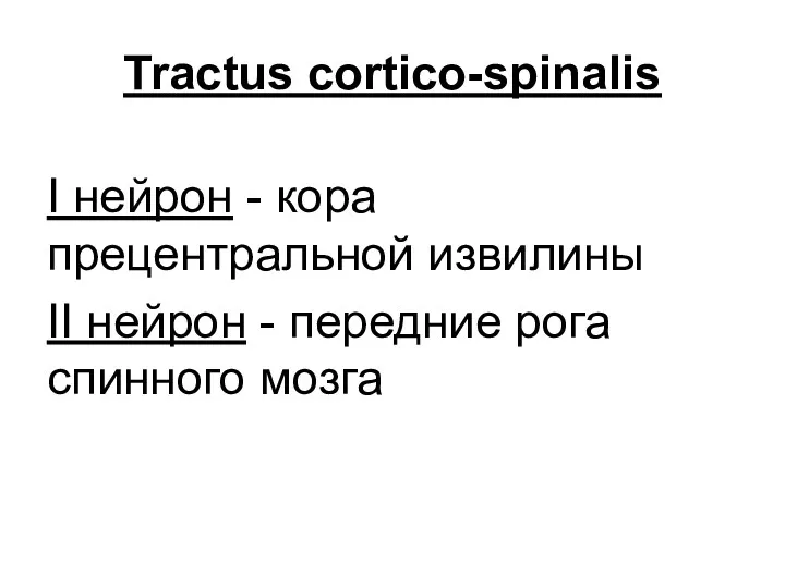 Tractus cortico-spinalis I нейрон - кора прецентральной извилины II нейрон - передние рога спинного мозга