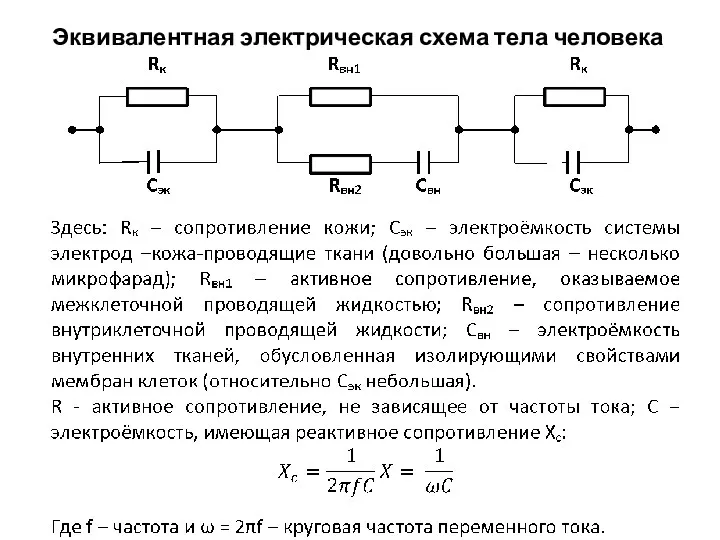 Эквивалентная электрическая схема тела человека