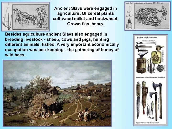 Ancient Slavs were engaged in agriculture. Of cereal plants cultivated