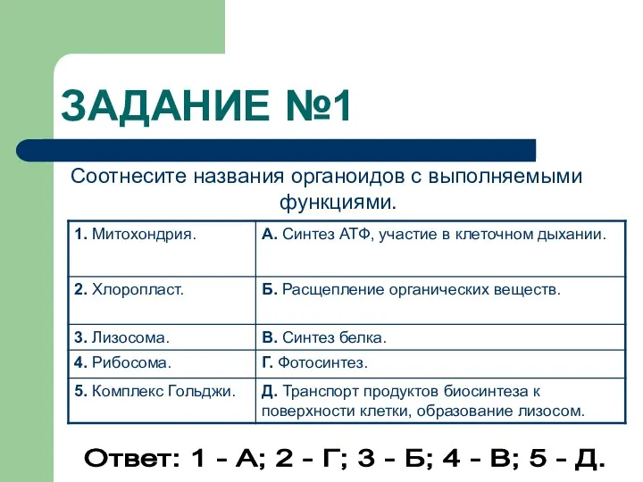 ЗАДАНИЕ №1 Соотнесите названия органоидов с выполняемыми функциями. Ответ: 1