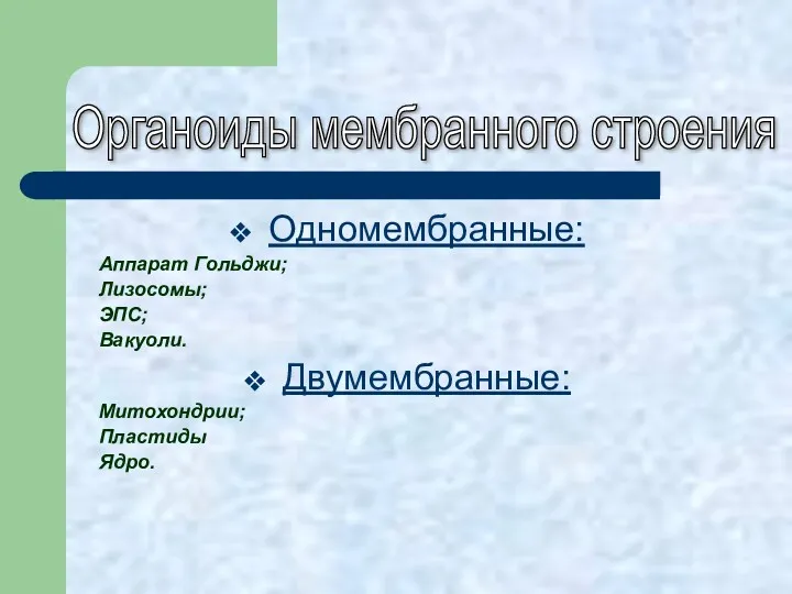 Одномембранные: Аппарат Гольджи; Лизосомы; ЭПС; Вакуоли. Двумембранные: Митохондрии; Пластиды Ядро. Органоиды мембранного строения