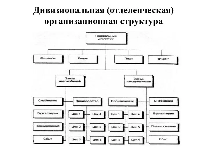 Дивизиональная (отделенческая) организационная структура