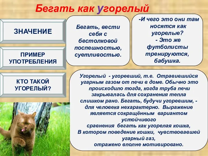 Бегать как угорелый Бегать, вести себя с бестолковой поспешностью, суетливостью.