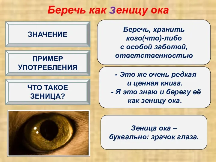 Беречь как зеницу ока Беречь, хранить кого(что)-либо с особой заботой,