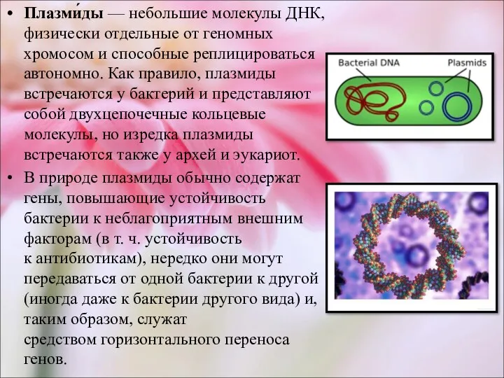 Плазми́ды — небольшие молекулы ДНК, физически отдельные от геномных хромосом