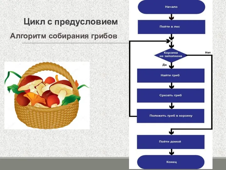 Алгоритм собирания грибов Цикл с предусловием