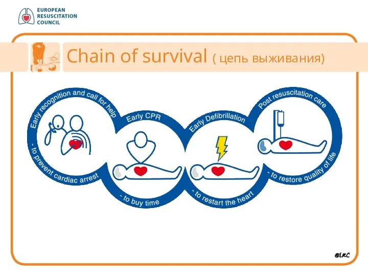 Chain of survival ( цепь выживания)