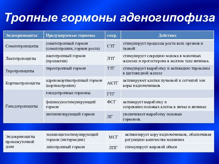 Тропные гормоны аденогипофиза