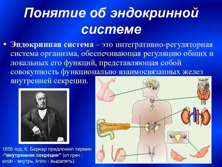 Понятие об эндокринной системе Эндокринная система – это интегративно-регуляторная система