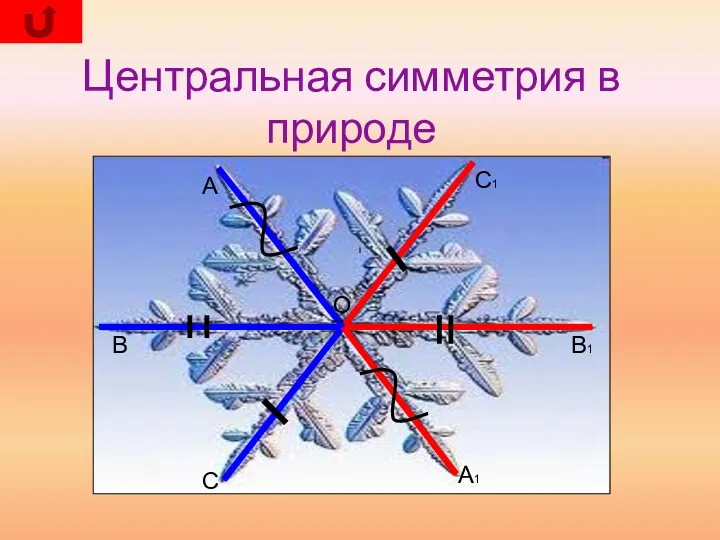 Центральная симметрия в природе А В С С1 А1 В1 О